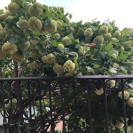 E Il Poggio Di D'angeli Lidia